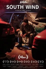 暴雪南风 movie poster