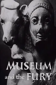 The Museum and the Fury movie poster