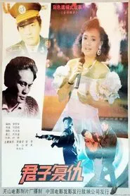 Poster do filme 君子复仇