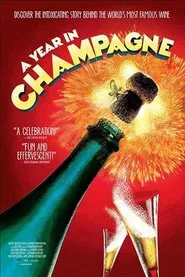A Year in Champagne movie poster
