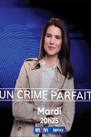 Un crime parfait ? tv show poster