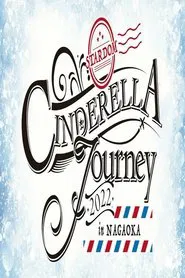 Stardom Cinderella Journey In Nagaoka 2022 movie poster