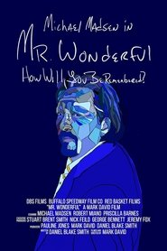 Mr. Wonderful movie poster