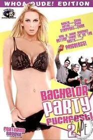Poster do filme Bachelor Party Fuckfest 2