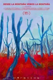 From the Mountain We See the Mountain movie poster