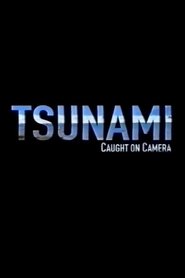 Tsunami: Caught on Camera movie poster