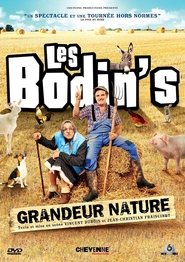 Les Bodin's - Grandeur Nature movie poster