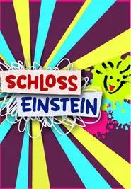 Poster da série Castle Einstein
