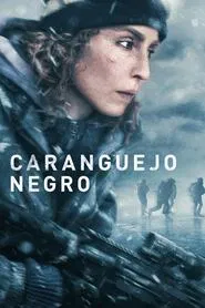 Poster do filme Caranguejo Negro