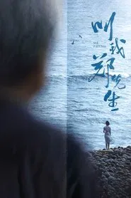 Mr. Zheng movie poster