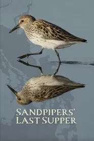 Sandpipers' Last Supper movie poster
