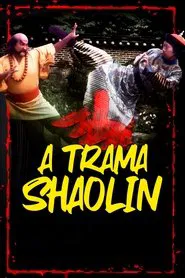 Poster do filme A Trama Shaolin