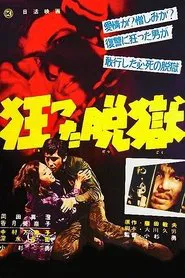 Crazy Jailbreak movie poster