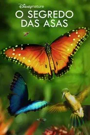 Poster do filme Asas da Vida