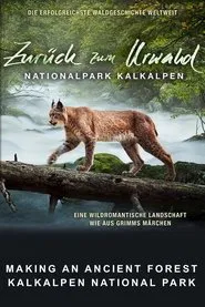 Making An Ancient Forest - Kalkalpen National Park movie poster