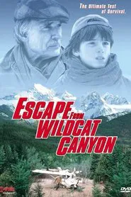 Escape from Wildcat Canyon movie poster