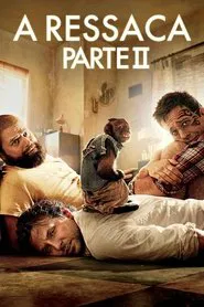 Poster do filme Se Beber, Não Case! - Parte II