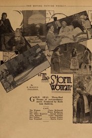 The Storm Woman movie poster