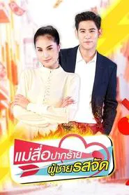 The Perfect Match tv show poster