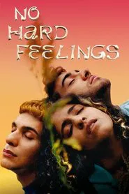 Poster do filme No Hard Feelings