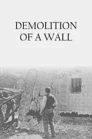 Demolition of a Wall movie poster