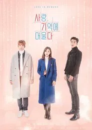 Love in Memory tv show poster