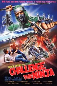 Challenge of the Ninja movie poster