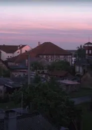 Peafowls Flew Away and Took My Thoughts With Them movie poster