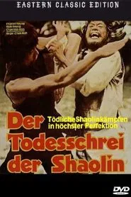 Mysterious Footworks of Kung Fu movie poster