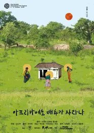Do Cabbages Grow in Africa? movie poster
