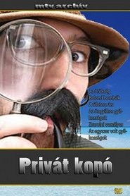 Private foxhound tv show poster