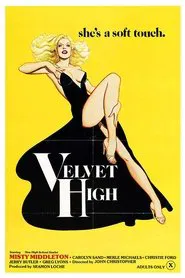 Poster do filme Velvet High