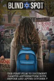 Blind Spot movie poster