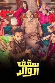 The Father's Roof tv show poster