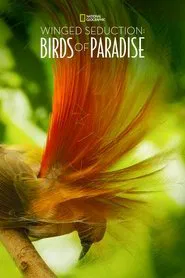 Winged Seduction: Birds of Paradise movie poster