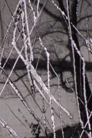 Snow movie poster