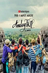 Poster da série Analog Trip