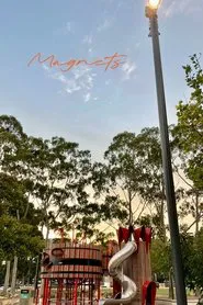 Poster do filme Magnets