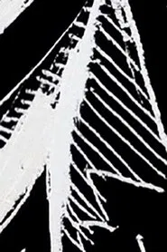 Measure movie poster