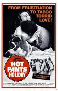 Hot Pants Holiday movie poster