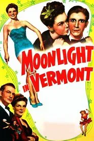 Poster do filme Moonlight in Vermont
