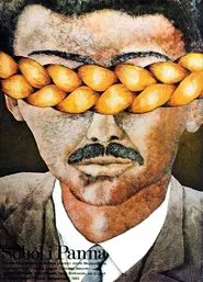 Poster do filme Soból i panna