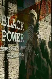 Black Power: America's Armed Resistance movie poster