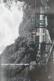in case i never see you again movie poster
