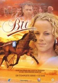 Bit tv show poster