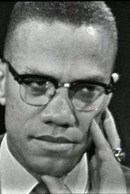 The Negro and the American Promise movie poster