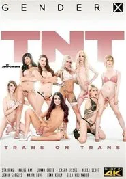 TNT: Trans On Trans movie poster