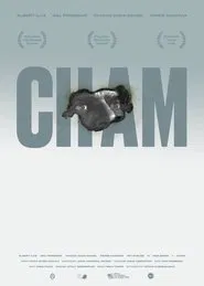 Hot movie poster