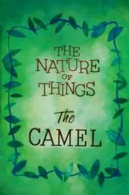 The Nature of Things: The Camel movie poster