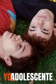 Poster do filme Memories of a Teenager